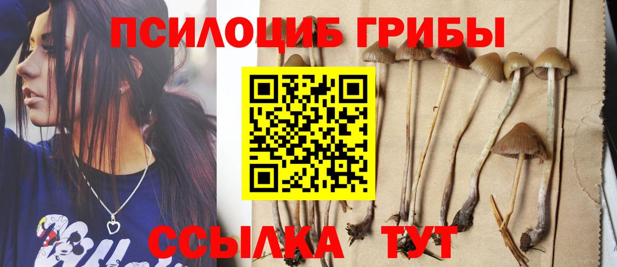 Галлюциногенные грибы прущие грибы Новокуйбышевск