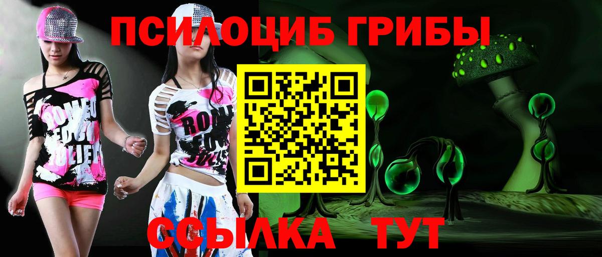Галлюциногенные грибы мицелий  магазин продажи наркотиков  Новокуйбышевск  Галлюциногенные грибы Cubensis  Вход с VPN 